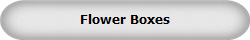 Flower Boxes